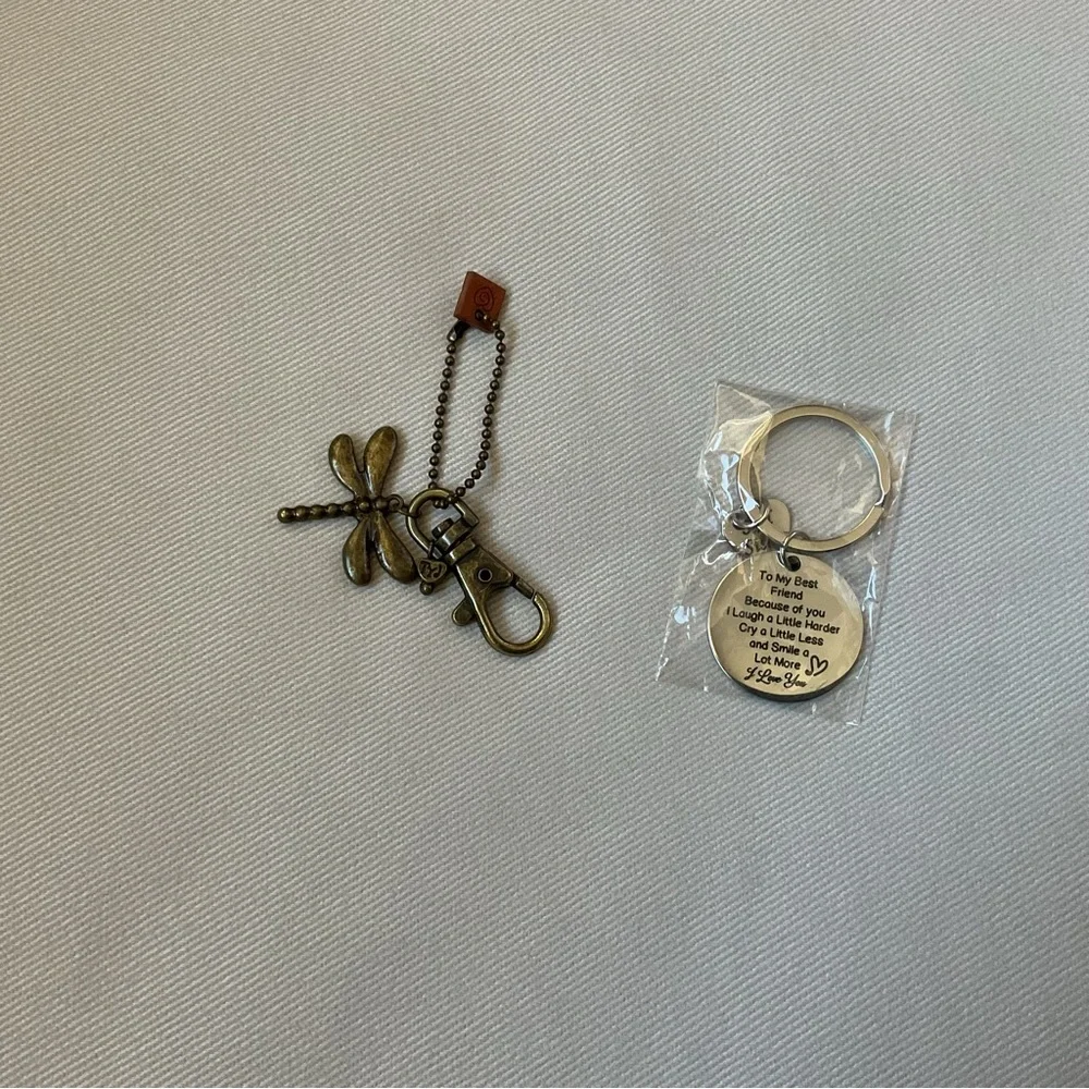 Set of Two! Dragonfly Keychain and Inspirational Best Friend Keyring